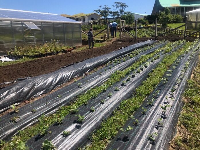 tecnificación