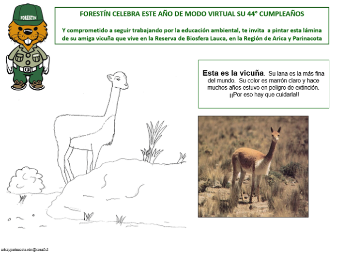 44° cumpleaños de Forestin Lamina 2 (CONAF AyP)