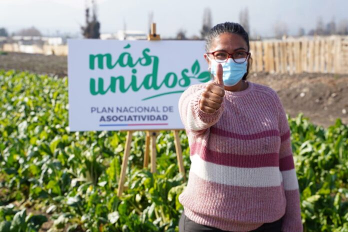 ACTO COOPERATIVAS (2)