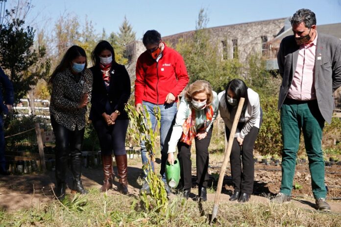 COMUNICADO. GOBIERNO DE CHILE Y FAO PRESENTAN CAMPAÑA PARA PROMOVER CONSUMO DE FRUTAS Y VERDURAS_2