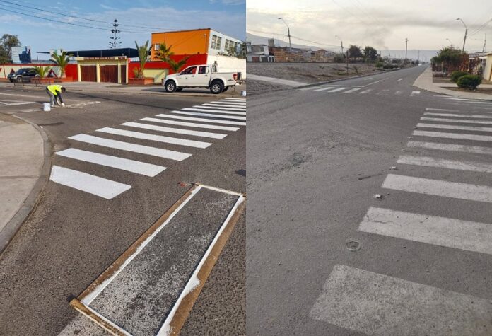 pintado paso cebra