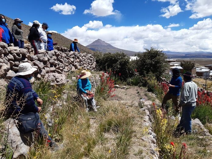 talleres en eras y terrazas_Putre