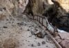 Onemi y Municipalidad de Arica cierran por 15 días Cuevas de Anzota