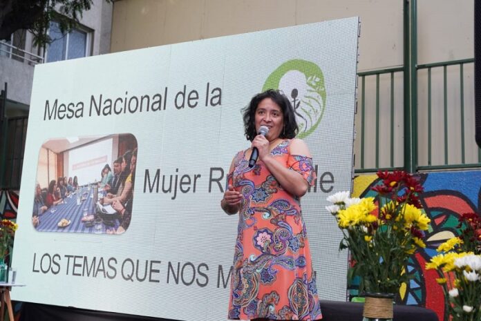 Encuentro de Género INDAP - Mesa Nacional Mujeres Rurales-3