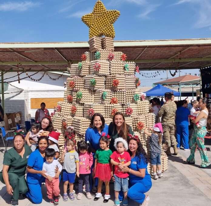 FOTO ARBOL 1