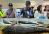 Autoridades supervisan fiscalizaciones sanitarias para el consumo seguro de pescados y mariscos en Semana Santa