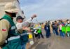 Cooperación que cruza fronteras: Productores de Tacna y Arica fortalecen control de la Mosca de la Fruta