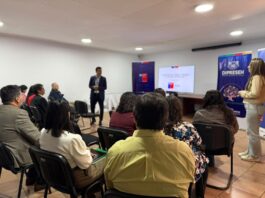 Establecimientos educacionales fortalecen la detección y derivación de jóvenes a programas de tratamiento