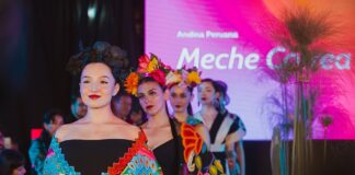 Arica Diseña celebra cinco años de trayectoria como uno de los mayores encuentros de diseño e industrias creativas de la región