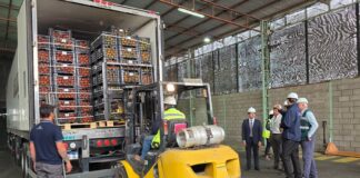 SAG y SENASA Argentina realizan primera inspección conjunta para exportar tomates por paso Jama