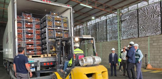 SAG y SENASA Argentina realizan primera inspección conjunta para exportar tomates por paso Jama